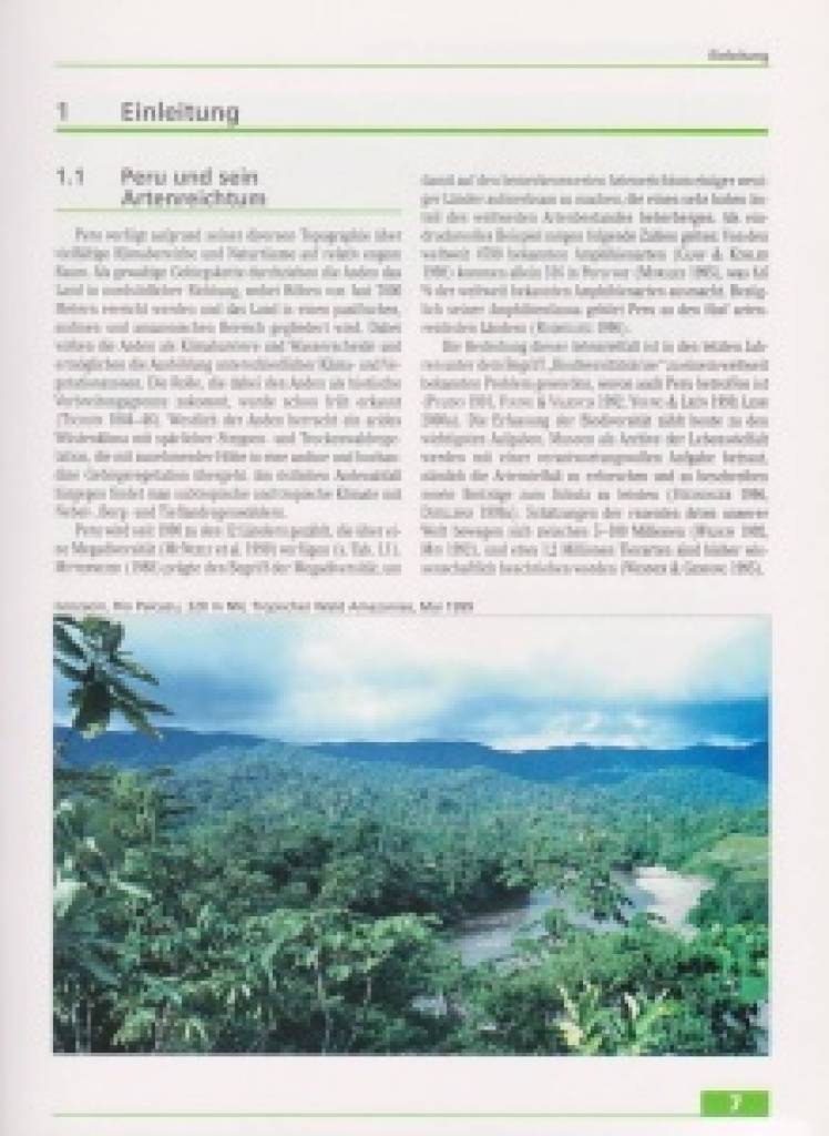 Amphibien und Reptilien in Peru